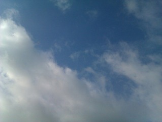 IMAG0268.jpg