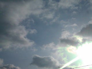 IMAG0270.jpg
