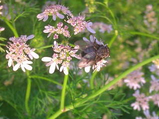 IMAG0330.jpg