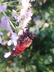 IMAG0349.jpg