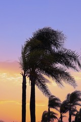 E66B020B-03C6-4B77-82D2-2FE52AF9143A/L0/001