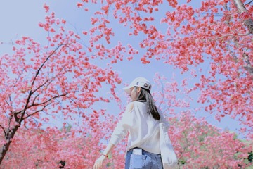 1A16E17E-F1AB-4F97-A222-71D55B080D50/L0/001