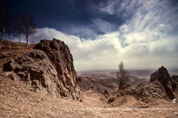 IMG_9872.jpg