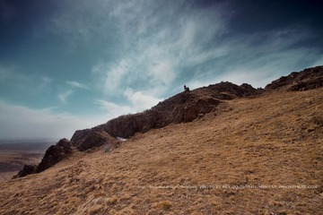 IMG_9845.jpg
