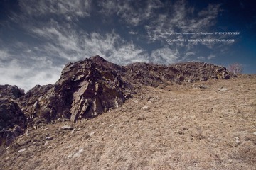 IMG_9779.jpg