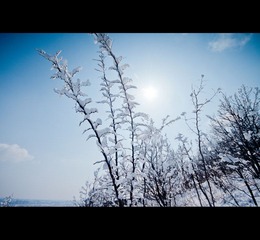 IMG_0606.jpg