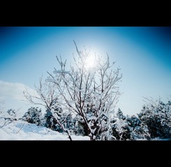 IMG_0597.jpg