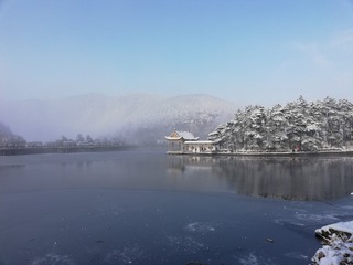 251217
