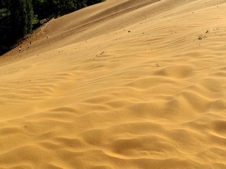 1000174385
