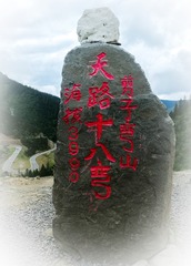 1000176004