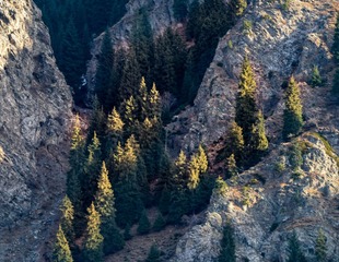 _DSC4237a