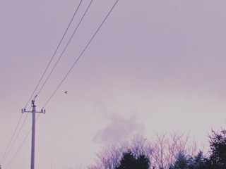 72351