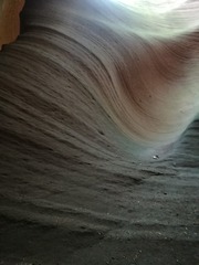 1121504