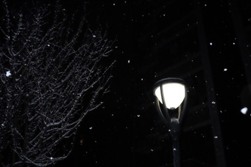 3F8D80F7-4224-4BA1-95B3-DFC0130B70E7/L0/001
