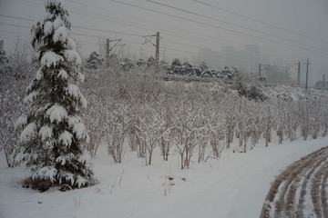 C9A08B2E-0CDD-4241-B787-02167A874ED6/L0/001