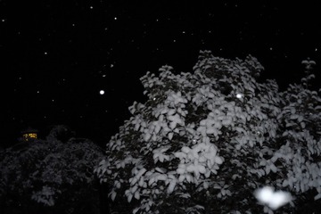 C10250C7-8B46-4C68-8C85-9BF79927F5D0/L0/001