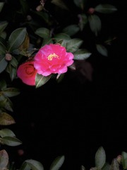 E7604861-6C91-4A00-8819-5F33A1219EC2/L0/001