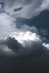 877108E2-F100-466B-AAAA-CA6D63F9DB4B/L0/001
