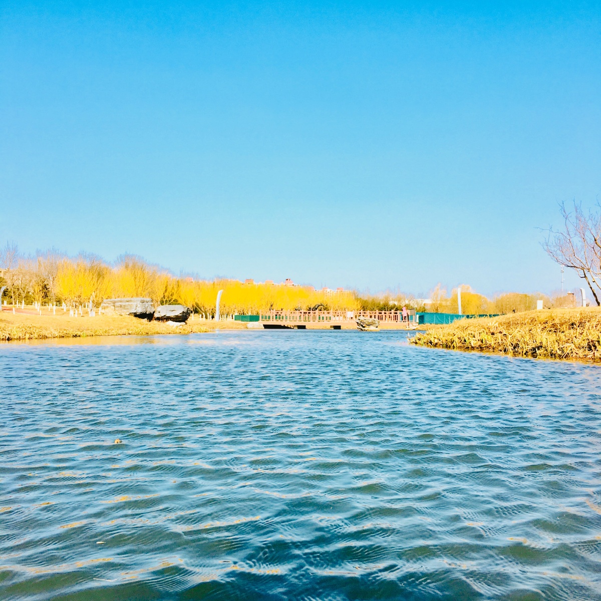 横竖左右的左右