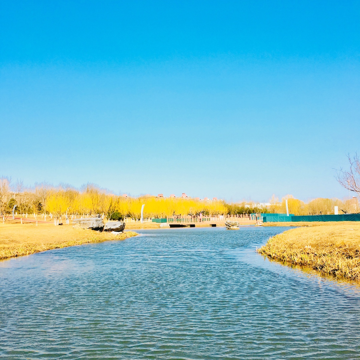 横竖左右的左右