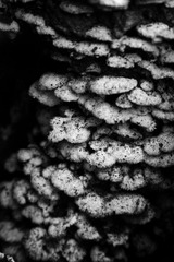 1EF92393-3041-4C15-B91C-5C7B2ED17D25/L0/001