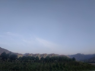 4275305