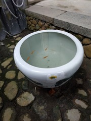 124003