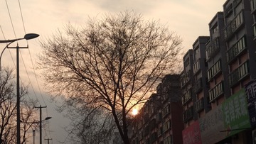 3601455