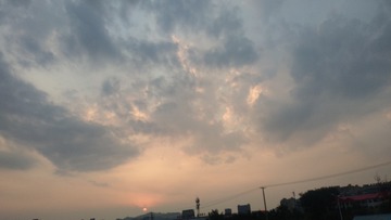 3685967