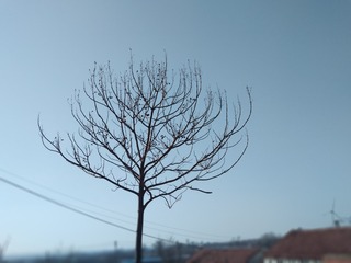 3463909