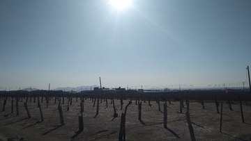 3463913