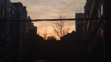 3601569