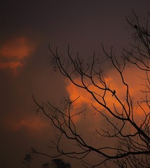 8731BF82-8FD9-44E7-A71A-2F601D938131/L0/001