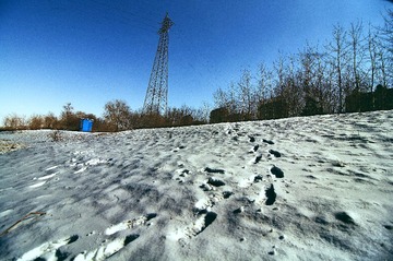 DSC_0080.jpg