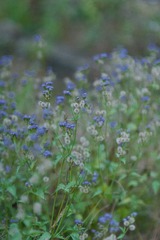 5D6FAA8E-DDE7-4086-A160-5F0E974EF0DA/L0/001