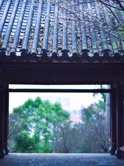 3579AB4E-B233-4F6F-B9F5-11D37688429F/L0/001