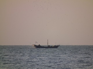 F5B3EF59-C163-4065-B3E5-5C1D491402D4/L0/001