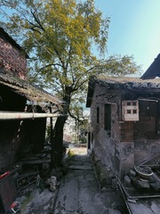 ACC720FE-BE79-40A9-86F9-86D19B2866A8/L0/001