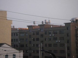 64202