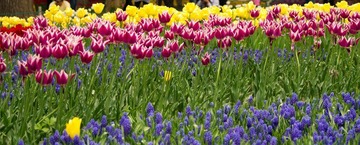 20120501-_IGP0924.jpg