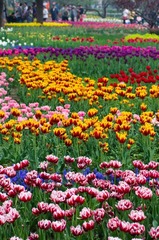 20120501-_IGP0948.jpg