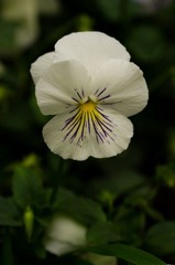 20120501-_IGP0994.jpg