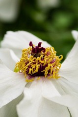 20120501-_IGP1054.jpg