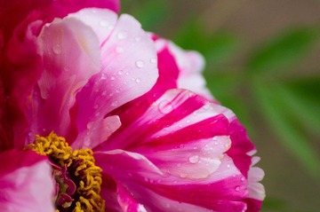 20120501-_IGP1082.jpg