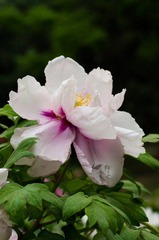20120501-_IGP1107.jpg