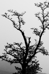 20120501-_IGP1037.jpg