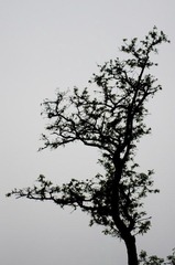20120501-_IGP1124.jpg
