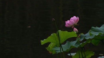 20120624-_IGP2585.jpg