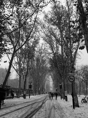 827958F0-6BA5-49E5-AE7D-0AB66078D538/L0/001