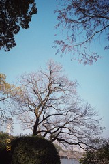 05DB18A4-C19D-4701-9B72-D55F39D86173/L0/001